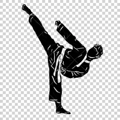 تصویر برای دسته  تکواندو