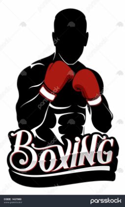 تصویر برای دسته  بوکس