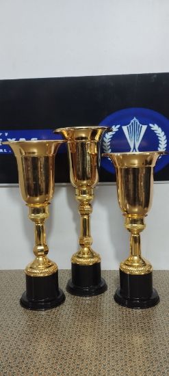 تصویر  کاپ قهرمانی(جام) نوروز